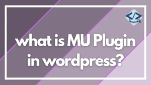 Read more about the article what is MU Plugin in WordPress?