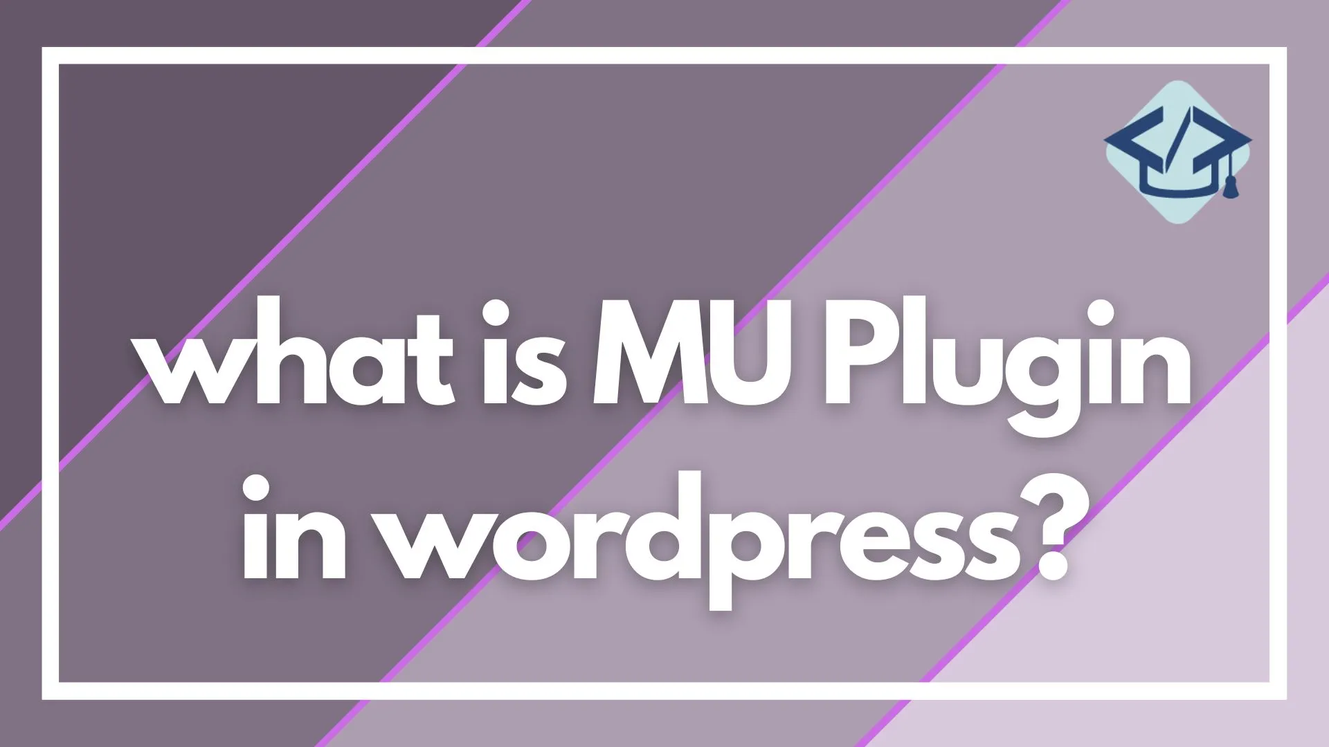 Read more about the article what is MU Plugin in WordPress?